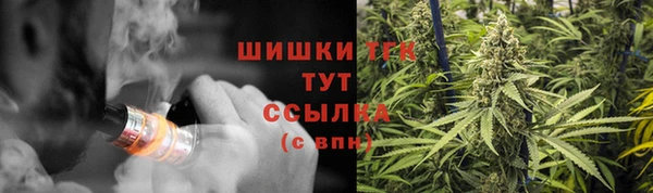 амф Аркадак