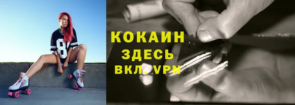 амф Аркадак