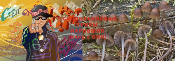 амф Аркадак