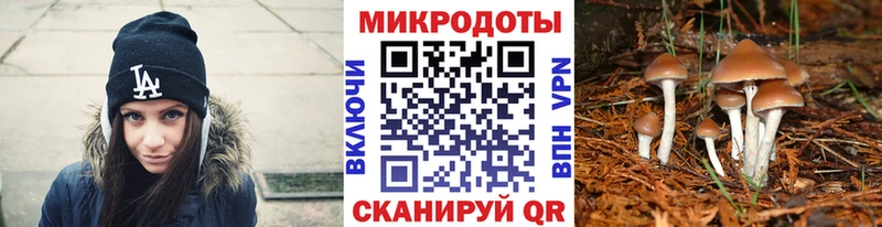 Галлюциногенные грибы MAGIC MUSHROOMS  Удомля 